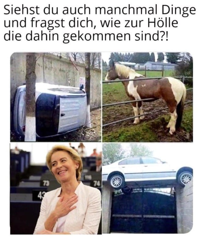 NaikeLeNormand's tweet image. Und vor allen Dingen auch dort BLEIBEN!
Das Meme ist von 2019.