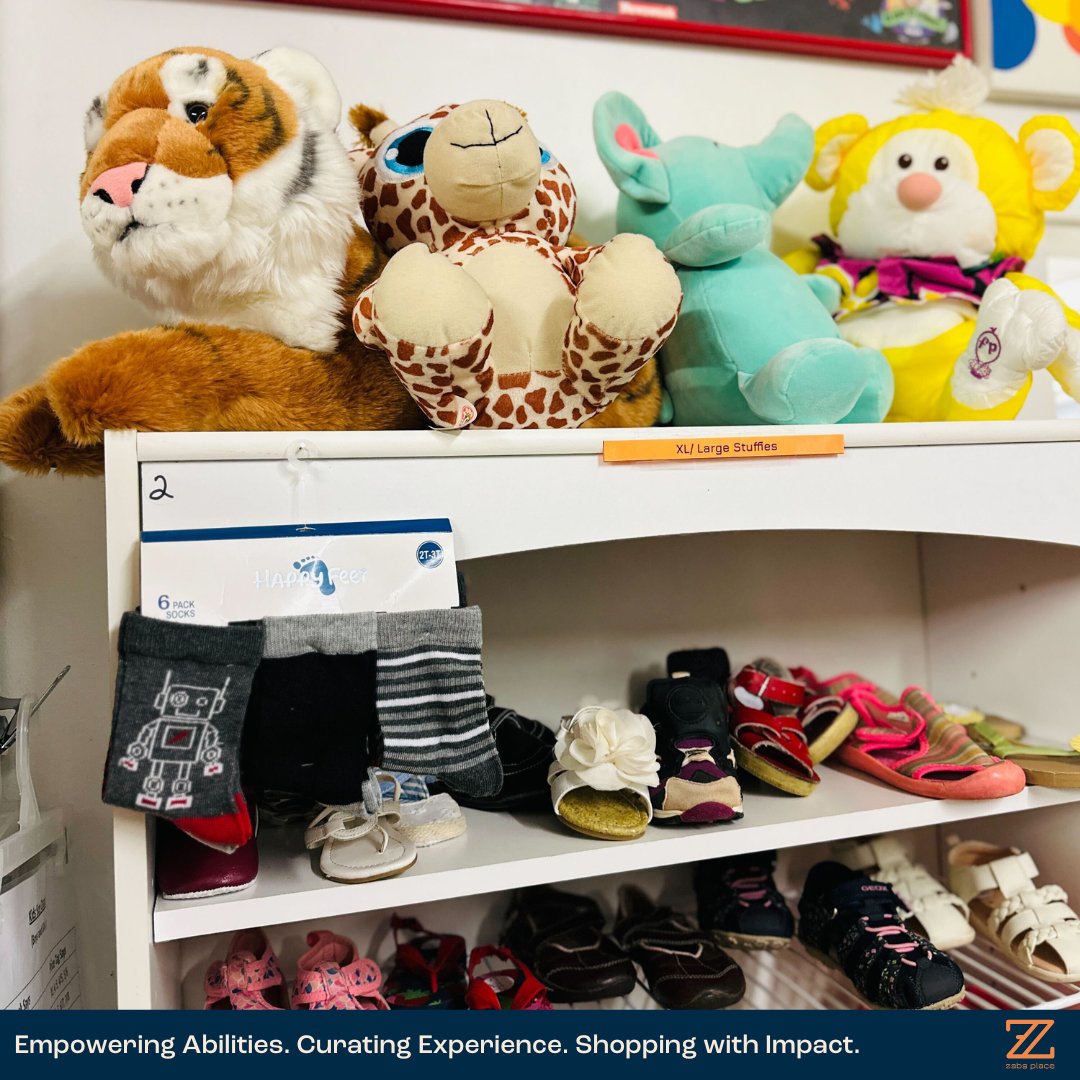 ZABS Place tweet media