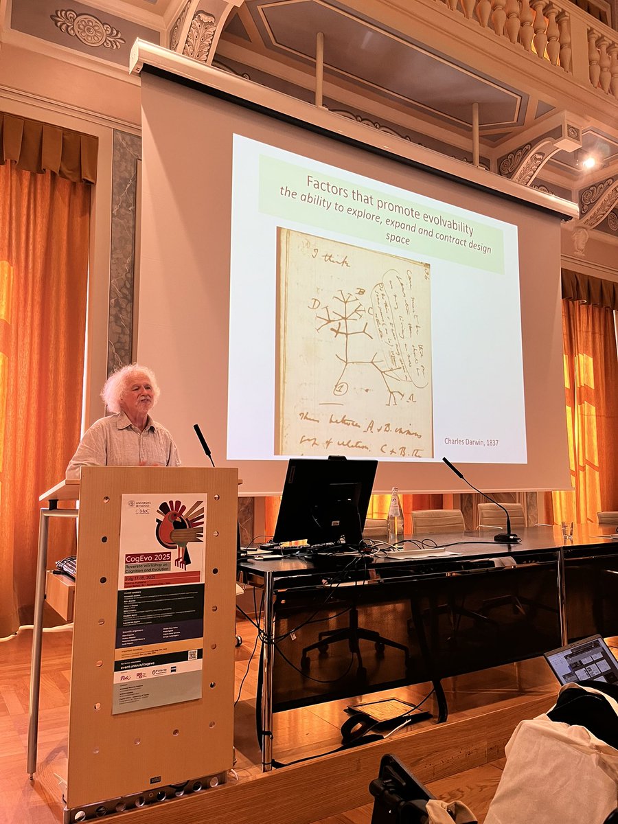 Anastasia Morandi-Raikova tweet media