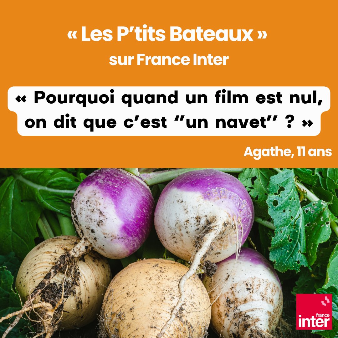 LeRobert_com's tweet image. Pourquoi quand un film est nul, on dit que c’est « un navet » ?
Géraldine Moinard, lexicographe et directrice de la rédaction aux Éditions Le Robert, éclaire ce mystère dans l’émission Les P’tits Bateaux sur France Inter. tinyurl.com/s82czxak