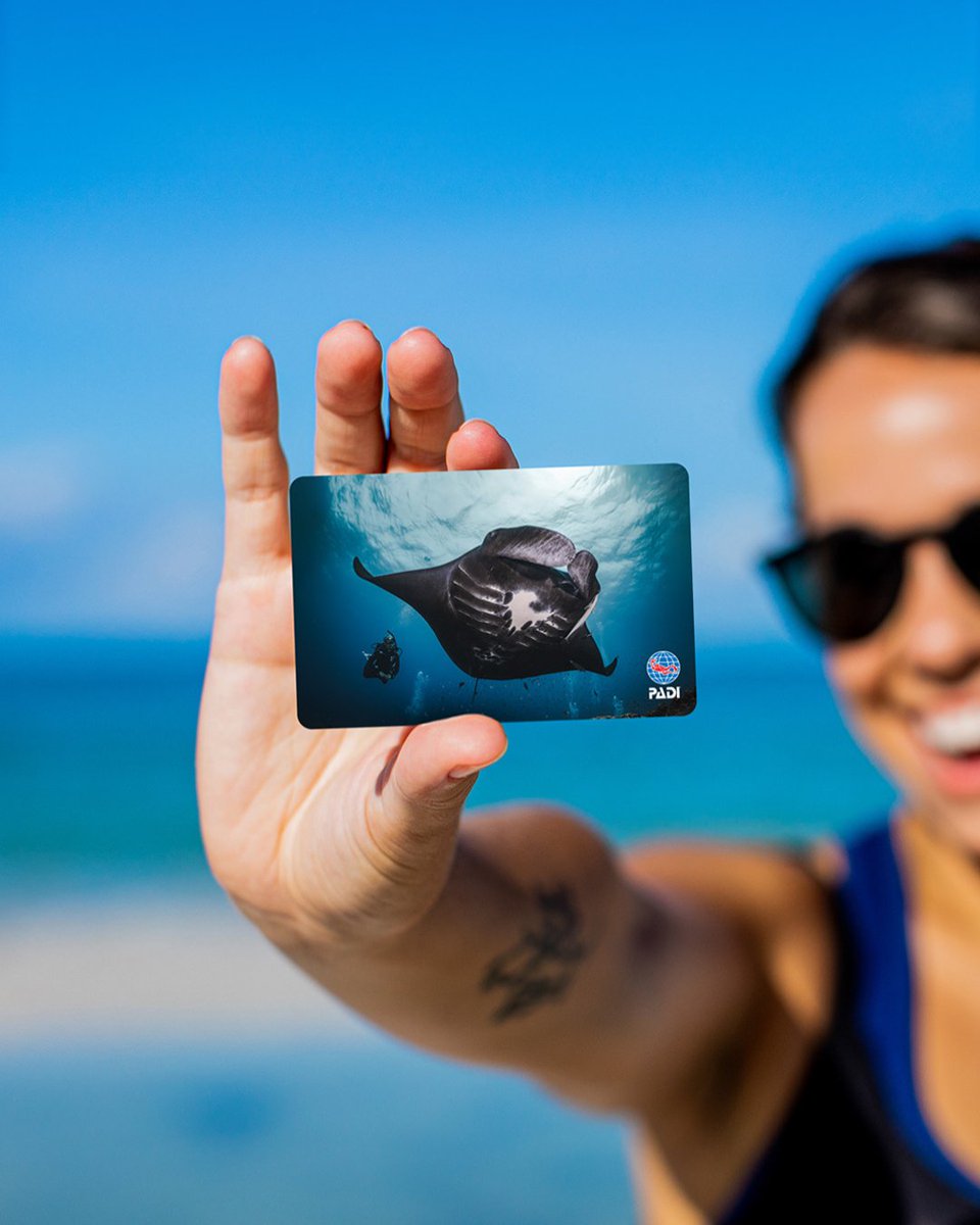 Your love for the manta ray is now part of your diving journey! Get a customized physical card, made from 70% recycled materials featuring your favorite marine animal, the majestic manta. 🐠✨

Order your customized card today!

🔗 Click here: padi.co/j4y8eini