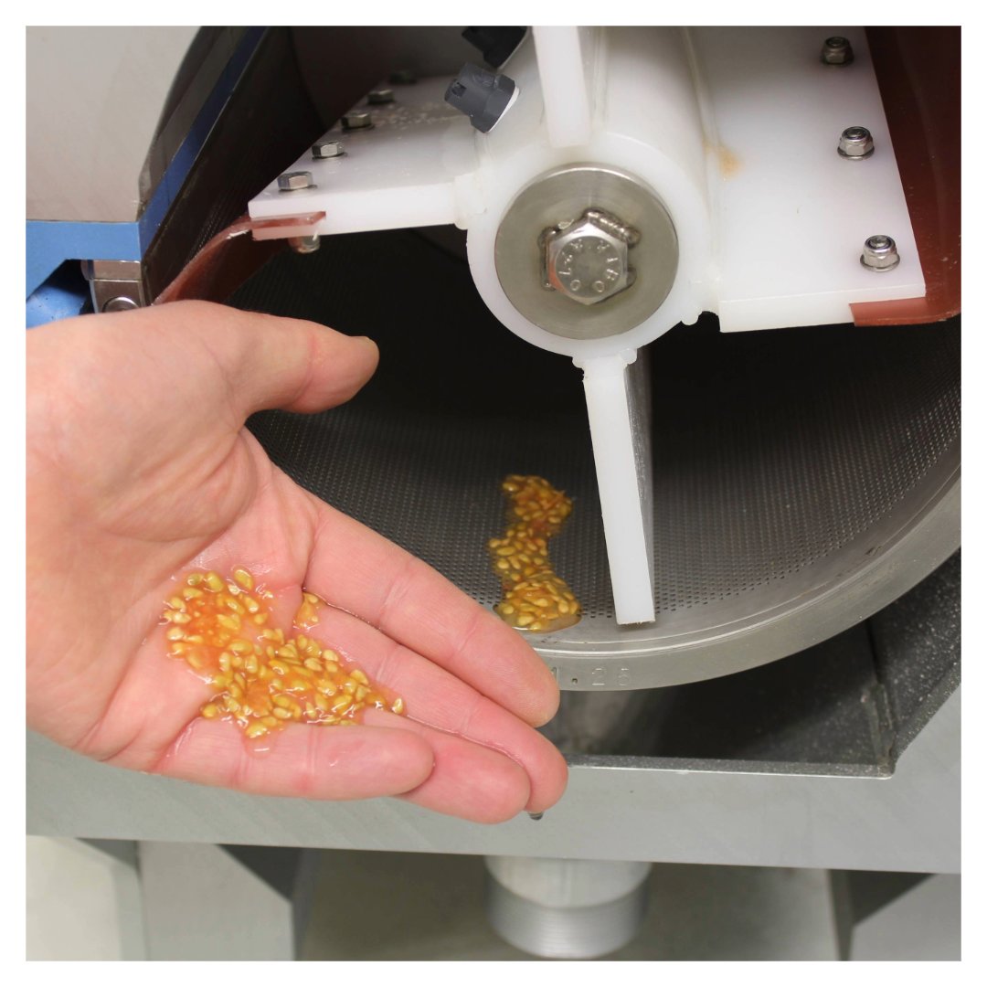 seedprocessing's tweet image. 🌟 Seed Extraction Demo Week was a great success! From July 1–4, we extracted seeds from potatoes, tomatoes & more.
✅ Less water & labor
✅ 3-in-1 separation
✅ Easy cleaning
Breeders & technologists praised the EMM-1201: “This saves hours daily!”