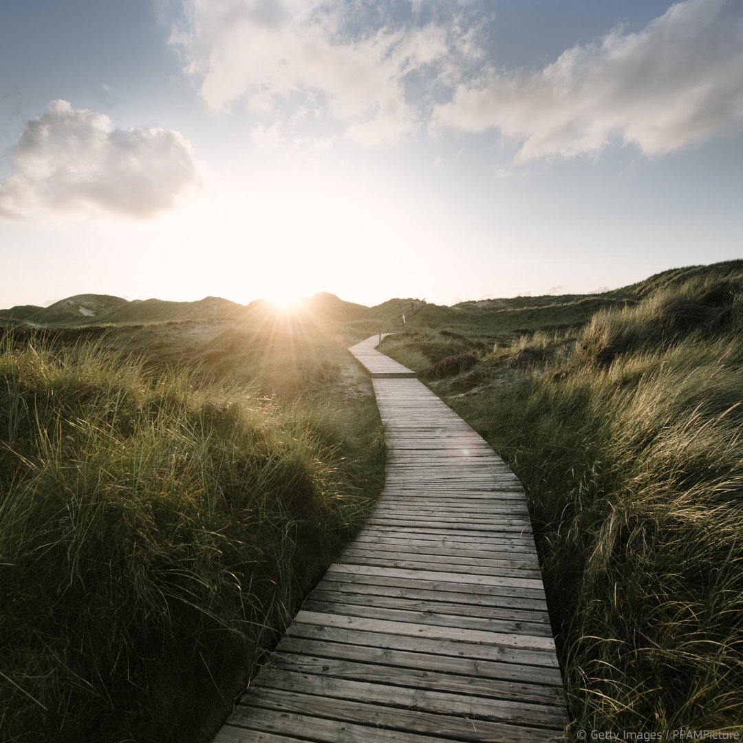 EU_ENV's tweet image. The upcoming Multiannual Financial Framework #MFF 2028–2034 demonstrates a strong commitment to environmental priorities, ensuring that the EU remains a leader in the green transition & setting a dedicated target for climate & environment spending
More 👉 europa.eu/!8R8VWX