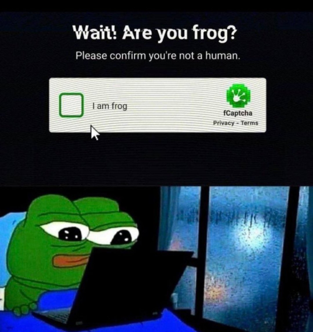 djoey44's tweet image. Gm frens🐸