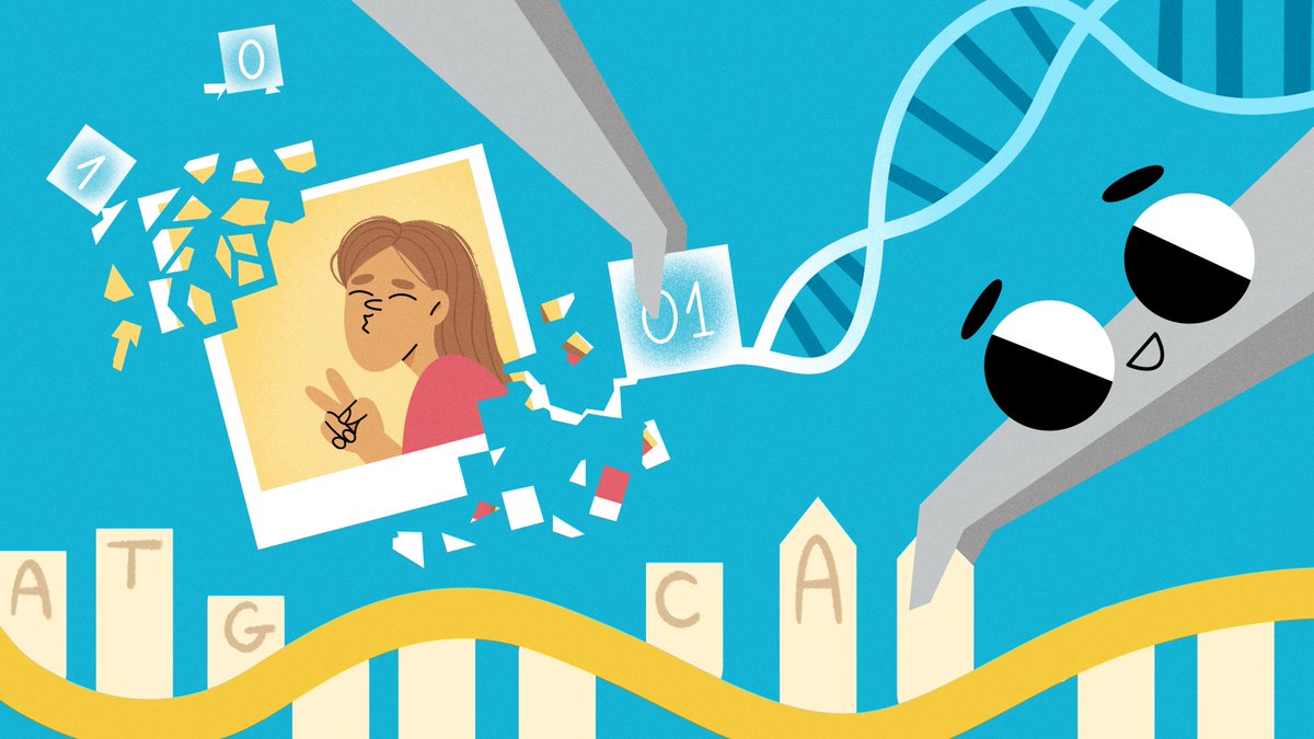 כונני הדנ”א בדרך. הם שקטים, זעירים, ויכולים לשמור כמויות מידע בלתי נתפסות.
מאמר ישראלי חדש באתר שלנו מציג טכנולוגיה לאחסון דיגיטלי על דנ”א סינתטי: נפח עצום, צריכת אנרגיה אפסית, ותוחלת חיים של מאות שנים.
כותבים: בר־לב ויעקובי (טכניון), פרויס וענבי (רייכמן). bit.ly/3TK5Uqs