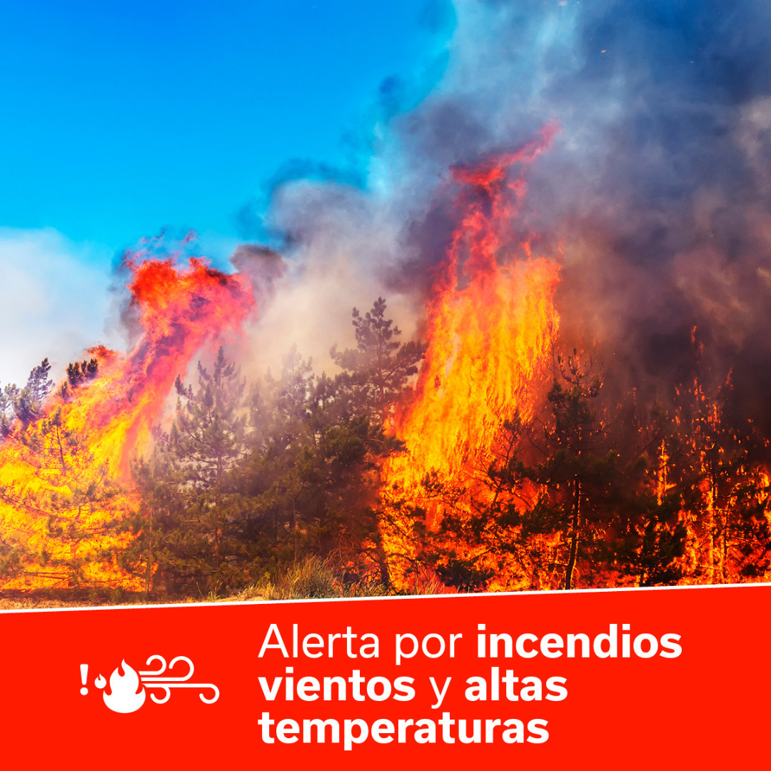 📢RECUERDA 📢

 🔥🌡️Canarias está en #AlertaRiesgoIF y #AlertaTemperaturasMáximas

🌬️#LaGomera y #GranCanaria están en #AlertaVientos 

🌬️#ElHierro y #Lanzarote están en #PrealertaVientos

Más información y consejos ⬇️
www3.gobiernodecanarias.org/noticias/el-fu…