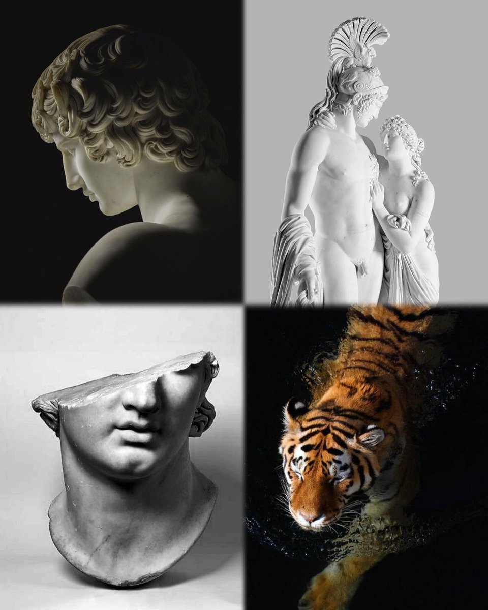 solispuer's tweet image. The crisis of our time is not politics or war. It is the loss of beautiful ideals