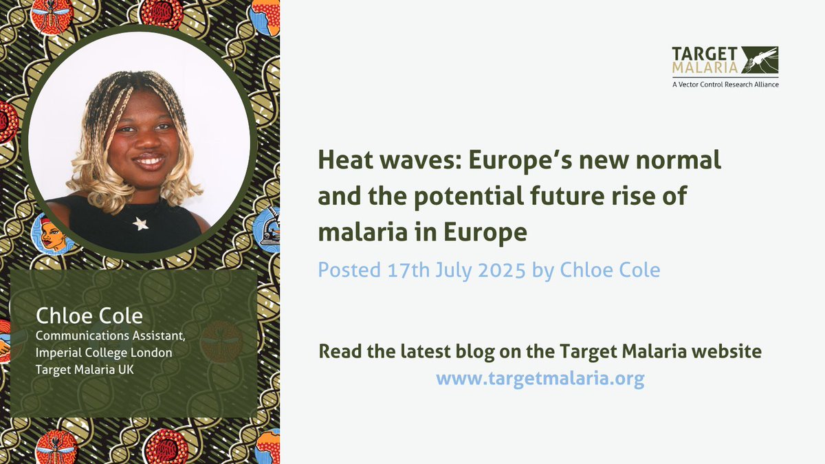 TargetMalaria's tweet image. Conversations about #ClimateChange driven increases in #Malaria have almost exclusively centred on sub-Saharan Africa.
However, with record high temperatures across Europe and the spread of mosquito-borne diseases, could malaria returning to this region be a possibility?
Chloe…