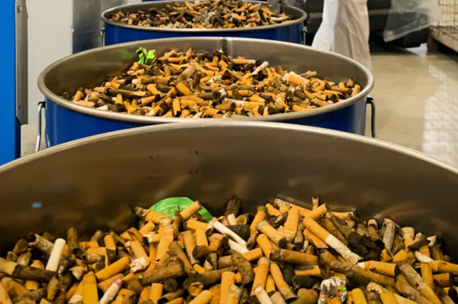 TheGGTC's tweet photo. 🛑 #CigaretteButt cleanup gets a boost: new legislation that came into force on July 1, 2025, now requires producers to fund collection and recycling of discarded #filters—adding #TobaccoWaste to the #ExtendedProducerResponsibility scheme ♻️
#circulareconomy #tobaccowaste #tobaccoplasticspollution
Read more: https://t.co/kDomKXtzXd