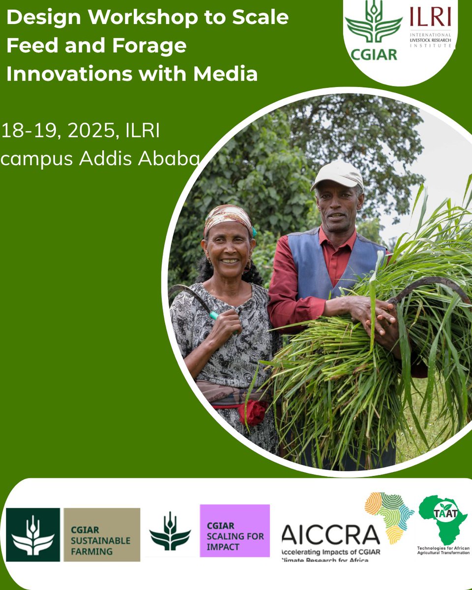 Haimanot Seifu (@haimanotseifu) on Twitter photo 