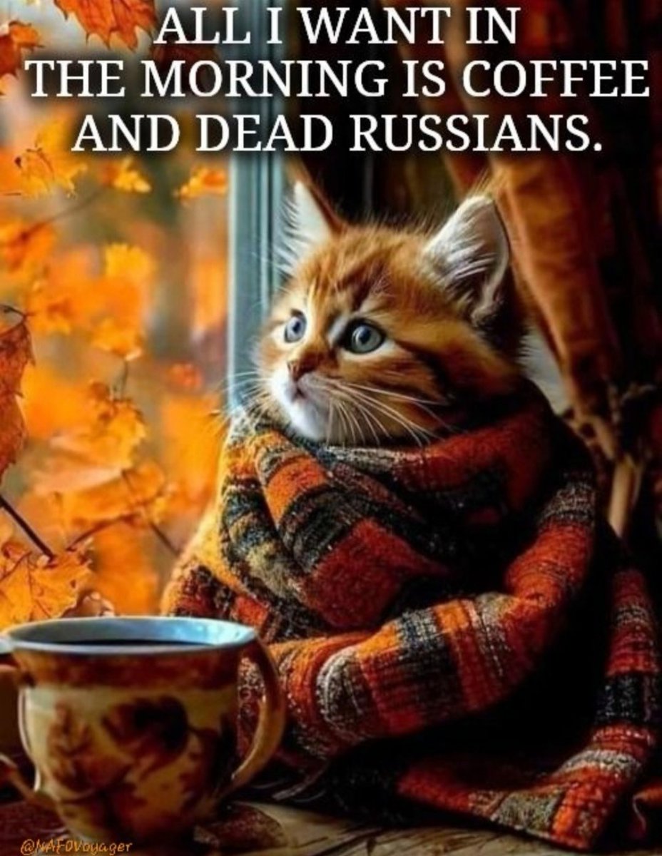 FellaSamu's tweet image. Stay strong Ukraine ‼️‼️
#StandWithUkraine️ #RussialsATerroristState #SlavaUkraini
#bringkidsbackua
#WarCrimes
#Nafo #trumpisaputinpuppet #allrussiansareguilty
