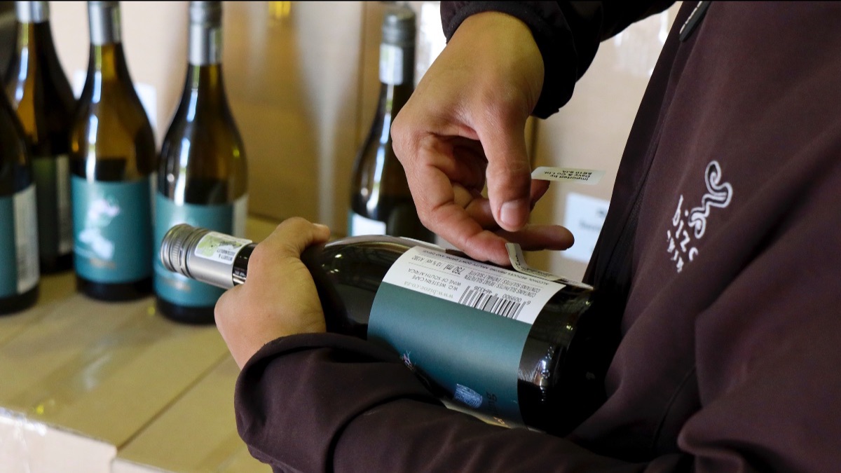 Wine Adventures from Cellar to Sky - mailchi.mp/a8a870ec8e31/w…