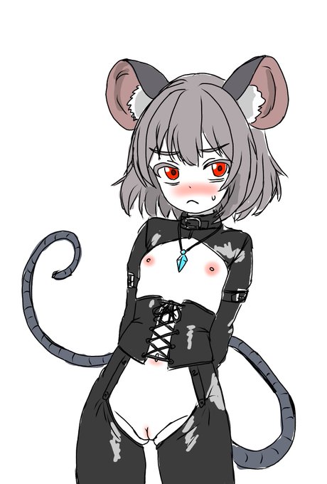 ご主人がとうとう頭のネジまで無くしたらしく、恥ずかしい姿をさせられるナズーリン。 「頭にネジなんか付いてるわけ無いでしょ」