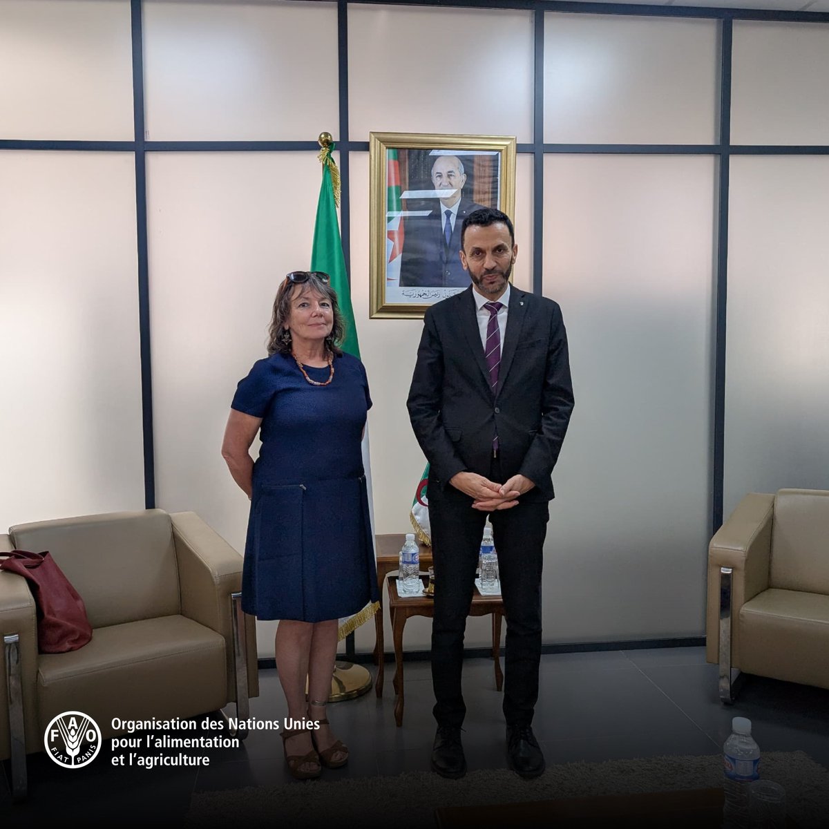 FAO Algérie (@faoalgerie) on Twitter photo 🤝 Rencontre entre la <a href="/FAO/">Food and Agriculture Organization</a> et le Ministre de l’#ÉconomieDeLaConnaissance et des #Startups pour renforcer l’entrepreneuriat des jeunes, stimuler l’innovation agricole et développer des partenariats en faveur des jeunes talents🌱
#Jeunesse #Agriculture #Algérie #Innovation 🤝 Rencontre entre la <a href="/FAO/">Food and Agriculture Organization</a> et le Ministre de l’#ÉconomieDeLaConnaissance et des #Startups pour renforcer l’entrepreneuriat des jeunes, stimuler l’innovation agricole et développer des partenariats en faveur des jeunes talents🌱
#Jeunesse #Agriculture #Algérie #Innovation