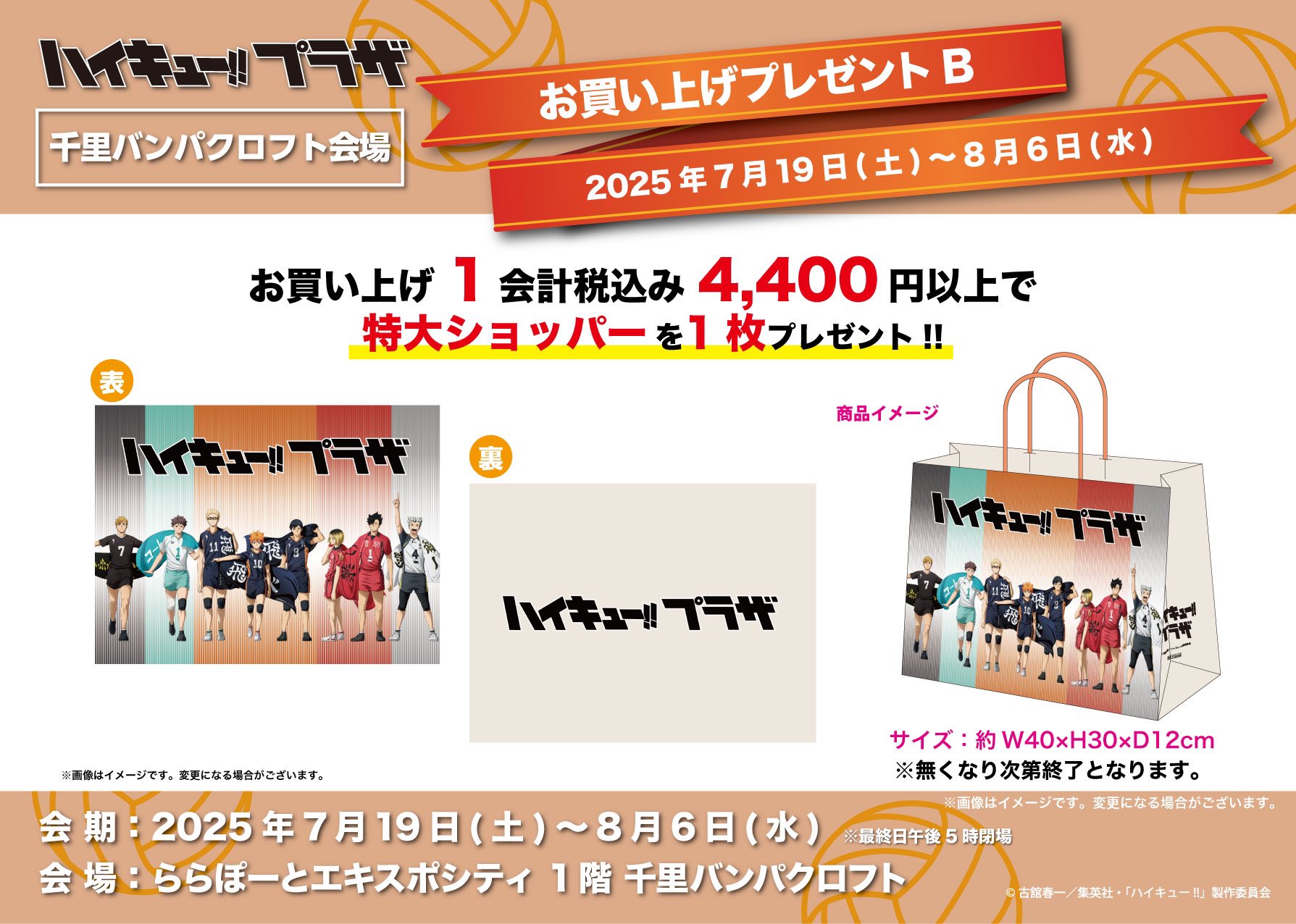 ナツです。(ハイキュープラザの商品) ナツです。(ハイキュープラザの商品) ナツです。(ハイキュー