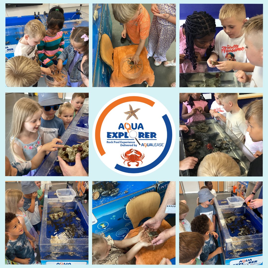 The children at Platt Bridge Community School and Nursery looked like they had a great time at their Aqua Explorer experience earlier this week! 🦀🐚🌊

#AquaExplorer #RockPool #MarineBiology #ClassroomLearning #HandsOnEducation #ScienceLessons #HandsOnLearning #SchoolVisits