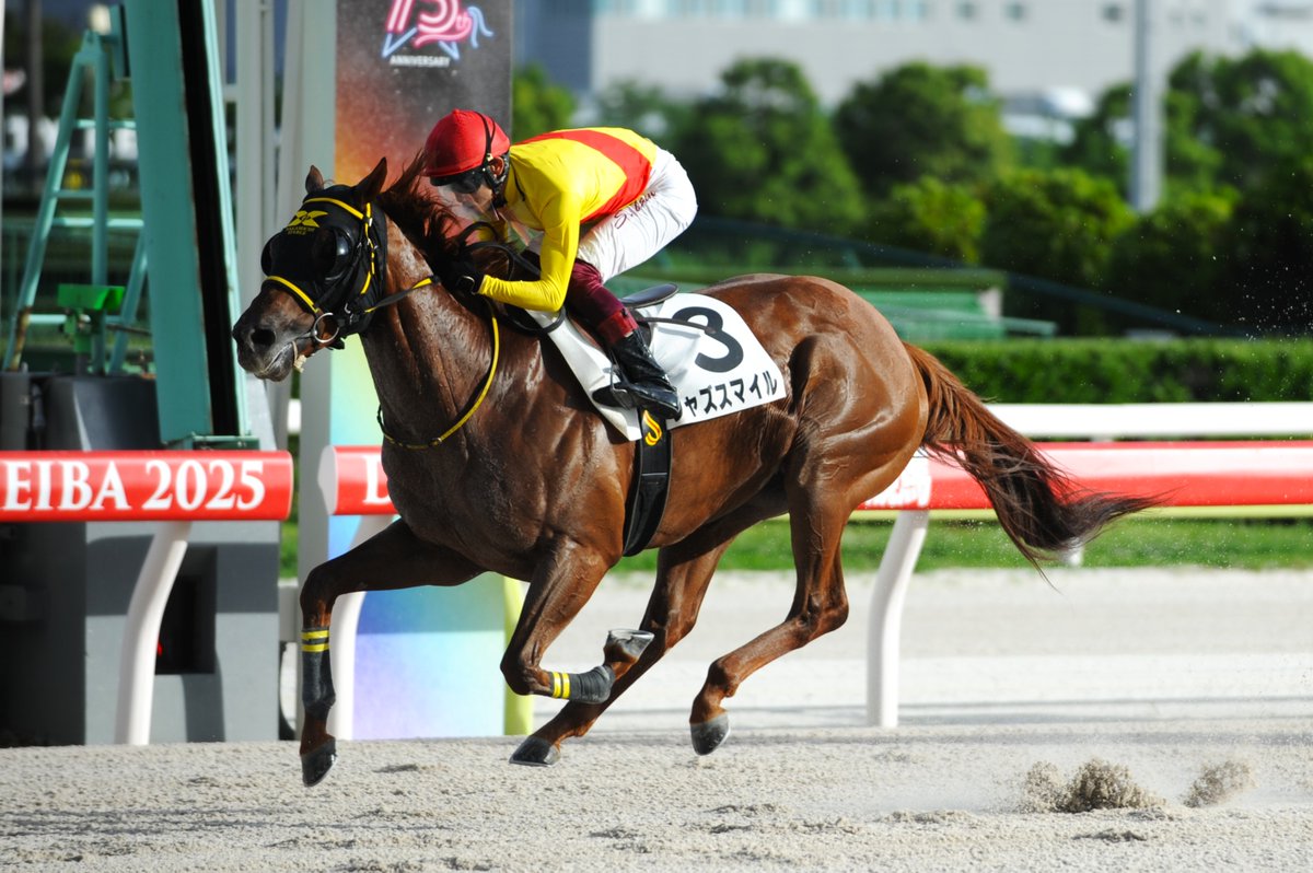 本日7/17がお誕生日とお伝えした #笹川翼 騎手が、6Rで #ジャズ