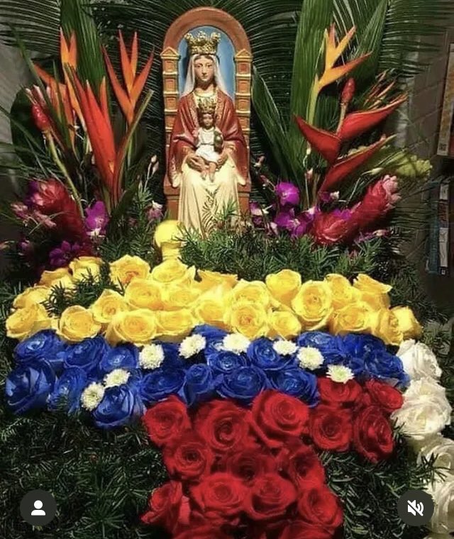 LibelulaVenez50's tweet image. Virgen Maria de Coromoto, Patrona de Venezuela es la dueña de nuestras tierras y nadie podrá adueñarse de ellas. Es parte de un Mensaje del Cielo recibido por @antonieta3za , la Mensajera del Cielo, hace años atrás.
