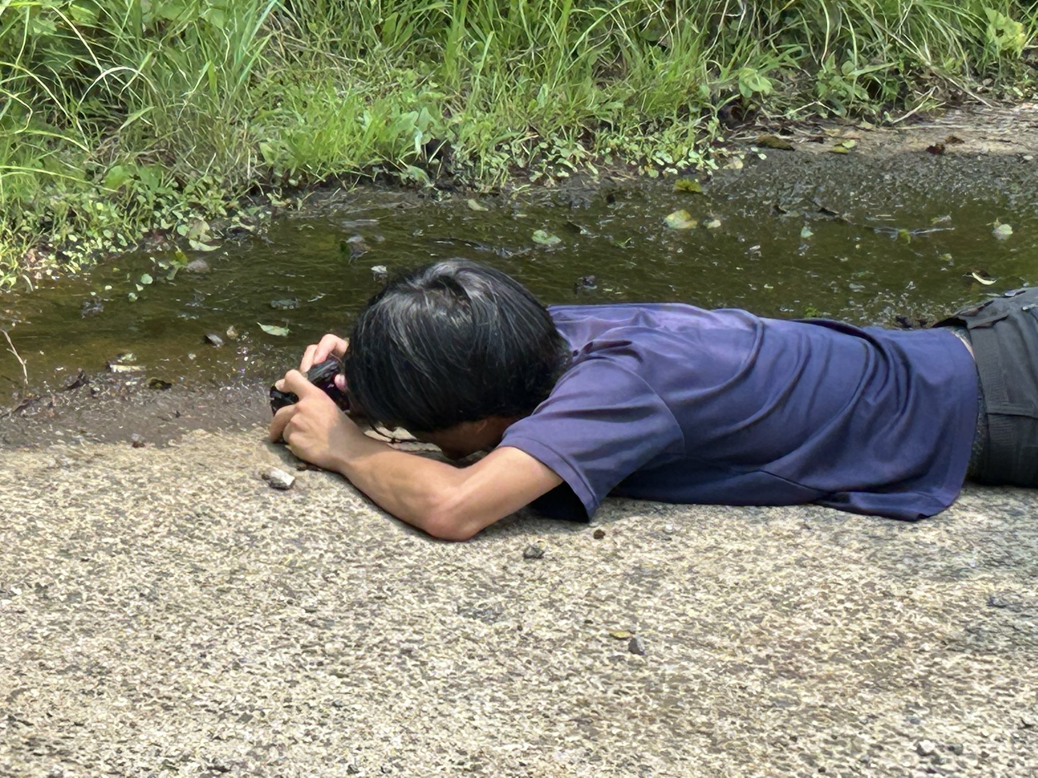 フォトパネル②■阿蘇くじゅう国立公園■A1サイズ■フレーム付 フォトパネル②□阿蘇くじゅう国立公園□A1サイズ□フレーム付