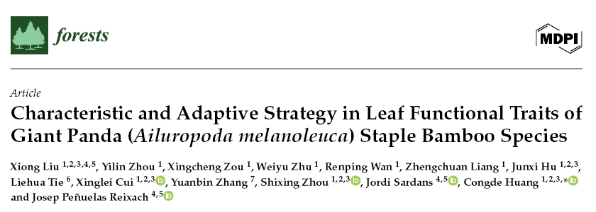 GlobalEcoUnit's tweet image. 🐼 Giant panda bamboos adapt in two ways: some grow tough, long-lasting leaves in moist habitats, others grow fast with nutrient-rich leaves in sunny areas 🌿
This helps guide smarter panda conservation!
doi.org/10.3390/f16060…
Xiong Liu @JosepPenuelas @csic
@CREAF_ecologia @iec