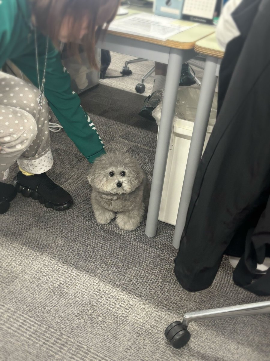 優しい同僚がいつも後押ししてくれる