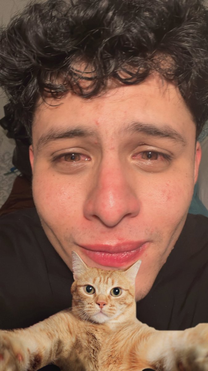No debí Alv
