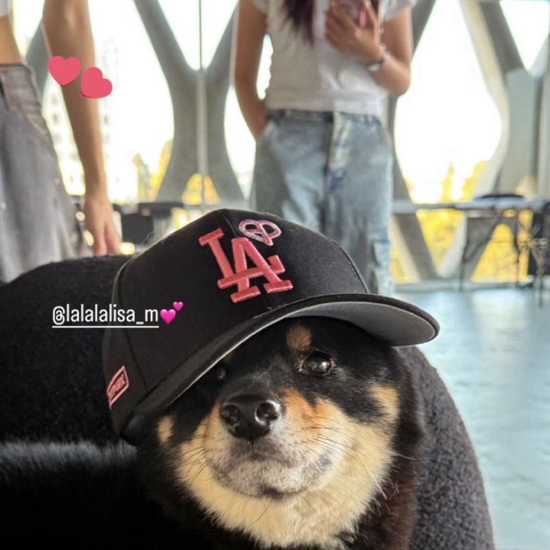 lisa’s tattoo artist via ig stories, a new tattoo coming? 👀