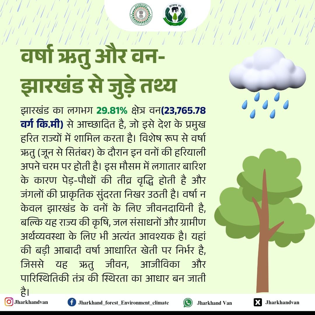 वर्षा ऋतु और वन
झारखंड का 29.81% क्षेत्र वन क्षेत्र से आच्छादित है, जो इसे देश के प्रमुख हरित राज्यों में शामिल करता है।
वर्षा ऋतु में यह हरियाली अपने चरम पर होती है, न सिर्फ सुंदरता के लिए, बल्कि जीवन, आजीविका और पारिस्थितिक संतुलन के लिए भी यह अमूल्य है।