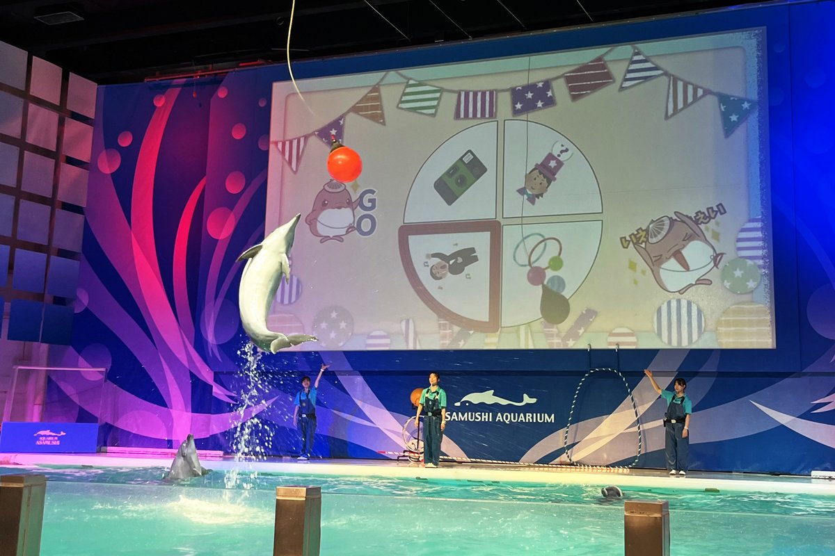 AsamushiAqua's tweet image. 【お知らせ】
イルカパフォーマンスが7/19(土)から新しくなります。
詳しくは以下のニュースリリースをご覧ください。
asamushi-aqua.com/news/news-rele…
#浅虫水族館 #水族館 #aquarium #イルカパフォーマンス #リニューアル
