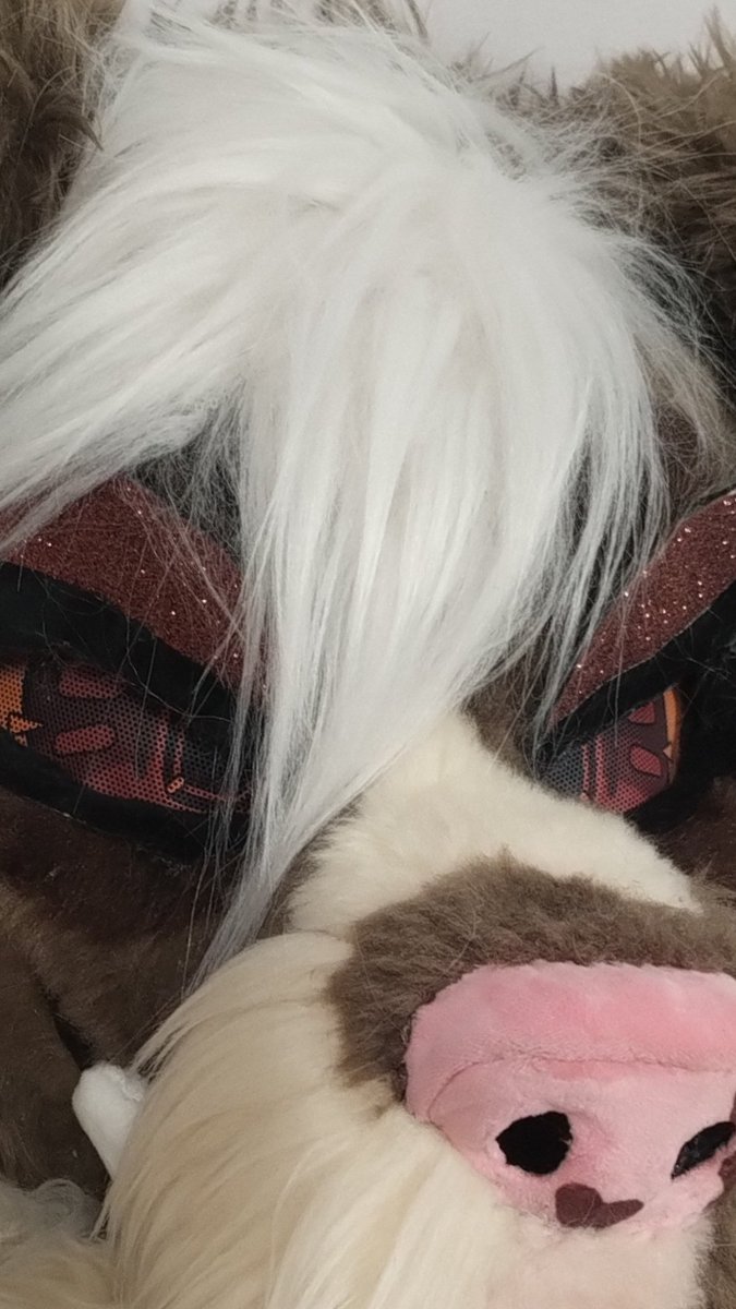 fenivulp's tweet image. Rawr