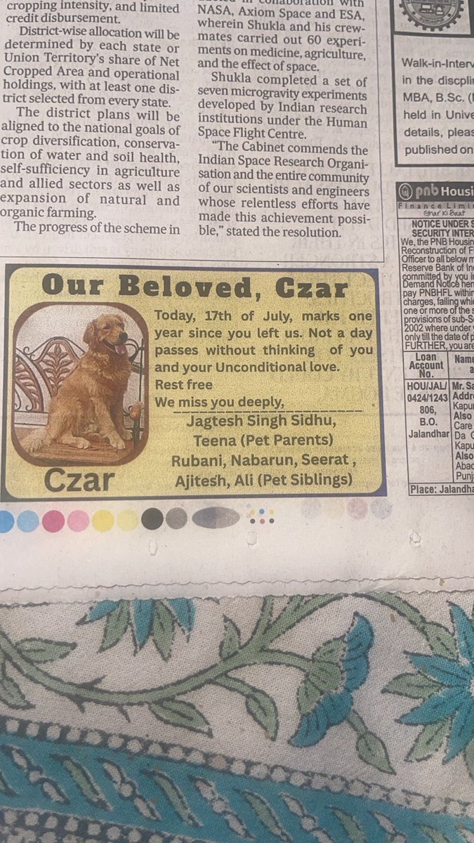 kaushalgee's tweet image. My mom sent this from a local newspaper in Chandigarh - this is how you know pet parents really think of their dogs as children ❤️