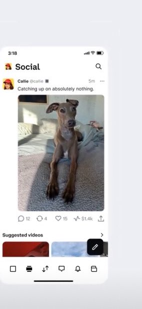 Everyone on <a href="/base/">Base</a> jumped on that <a href="/brian_armstrong/">Brian Armstrong</a> token and jeeted the Dog.  I punted some on this $COSMO dip. Needs a community tho but narrative is there. Ape and pray season. If anyone finds the socials lmk. 

0x37ab95EB0c73531dd68d3EdBc838e3e1F3Dd33f4