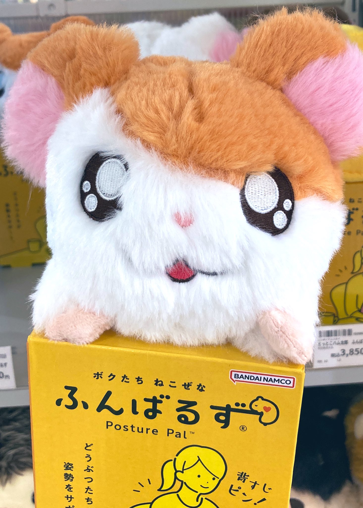 ハムハムパンパン　グッズ　8点 hamhampangpang ラオル「残響楽団2次＆黒い沈黙」テーマ利用