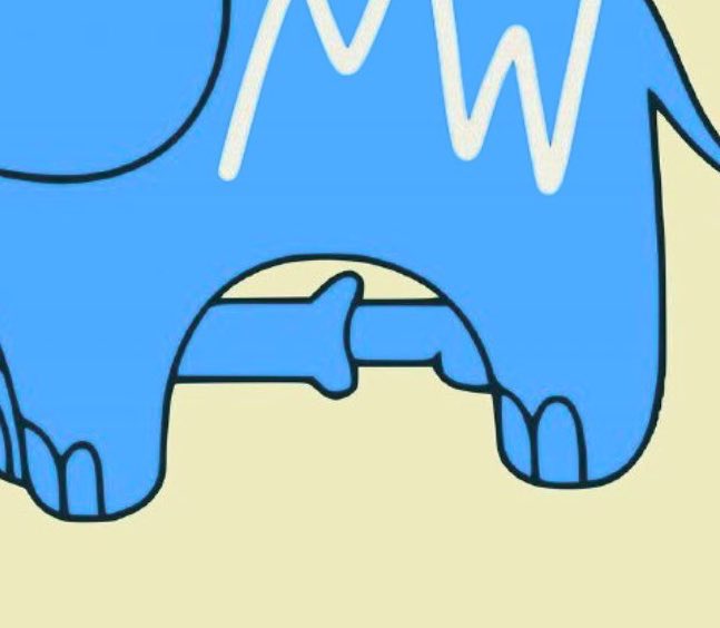 self sucking elephant tweet media