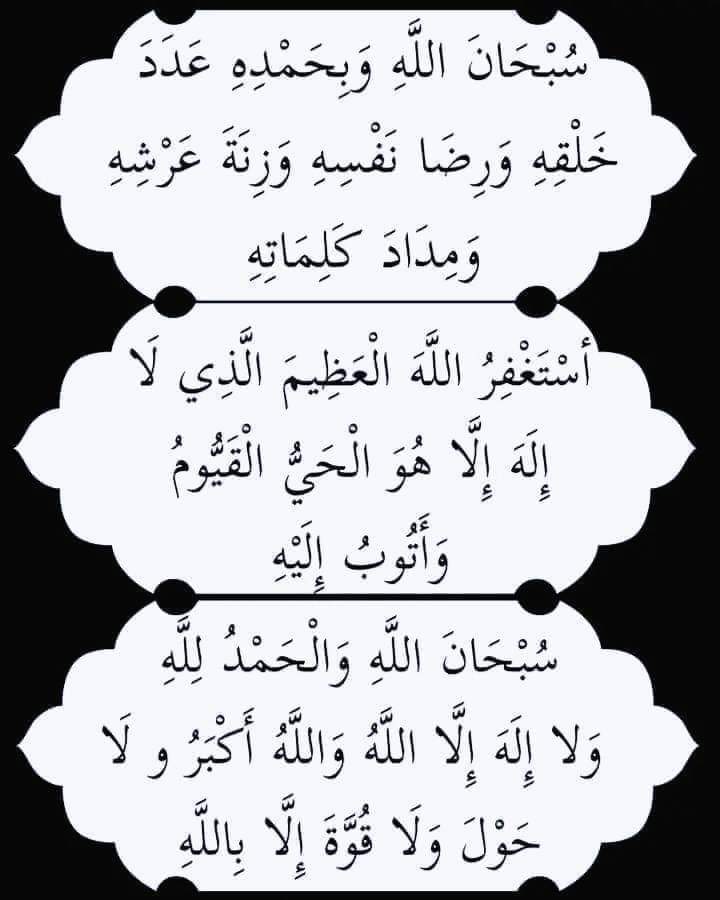 🕊 Elnashrty (@elnshrtyma62261) on Twitter photo 