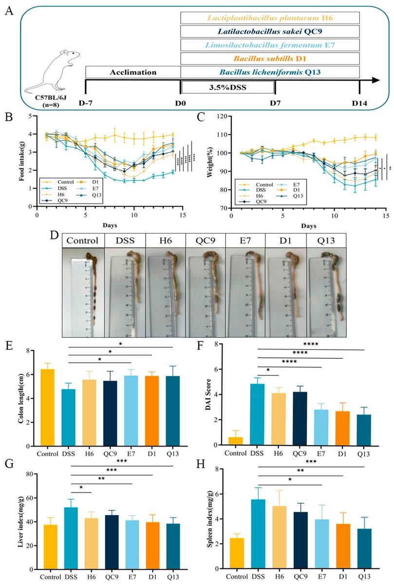 Foods_MDPI's tweet image. #mdpifoods 🔥🔥#Editor’s Choice Article
🧀"Uncovering the #Beneficial Role of #Limosilactobacillus fermentum E7 Exhibiting #Antioxidant Activity in Ameliorating DSS-Induced Ulcerative Colitis in a Murine Model"
by Hongyan Zhang et al

Link: mdpi.com/2304-8158/14/1…