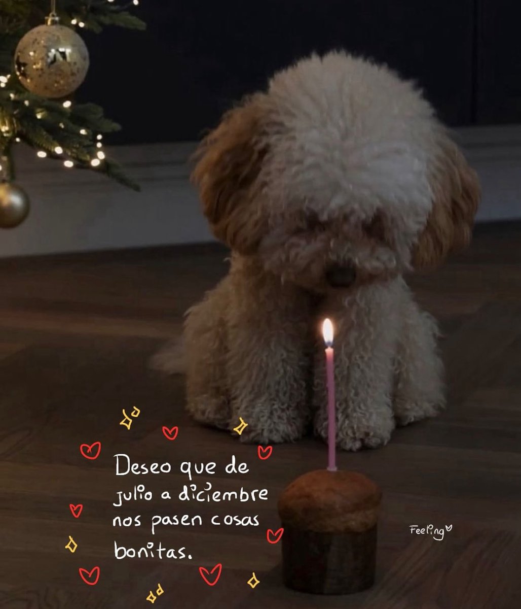 Pensamientos (@frasesimple) on Twitter photo 