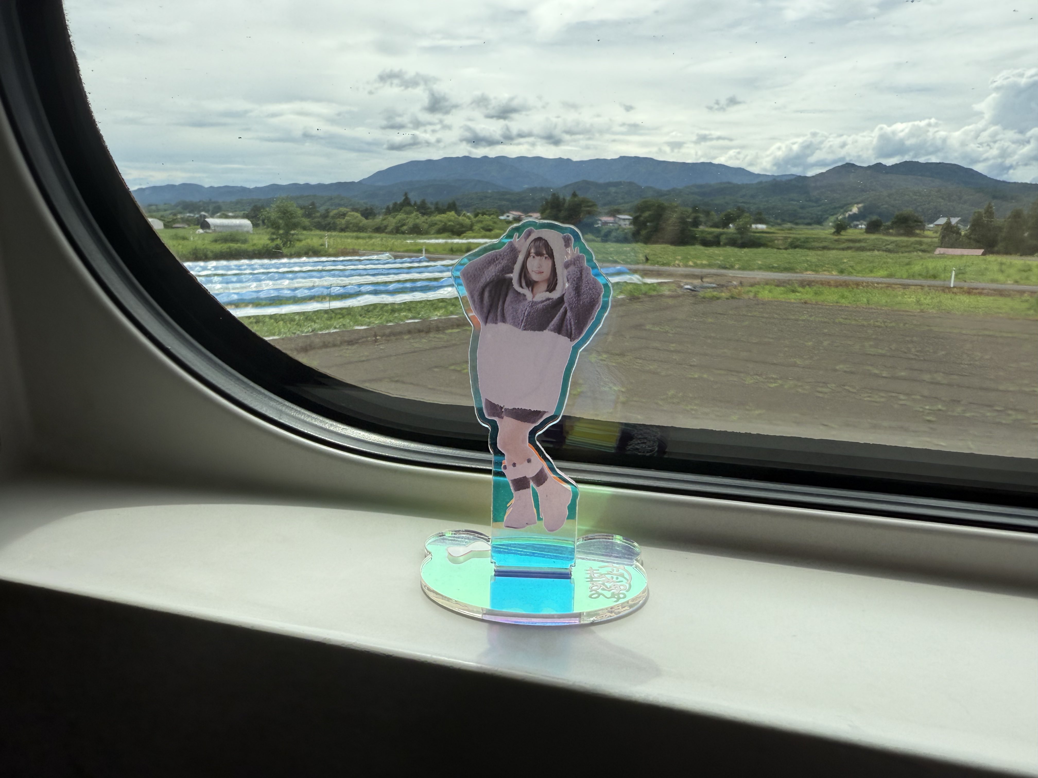 ☆抱き合わせ対象☆ボルテージ 感謝祭 ボルフェス 宴 展示