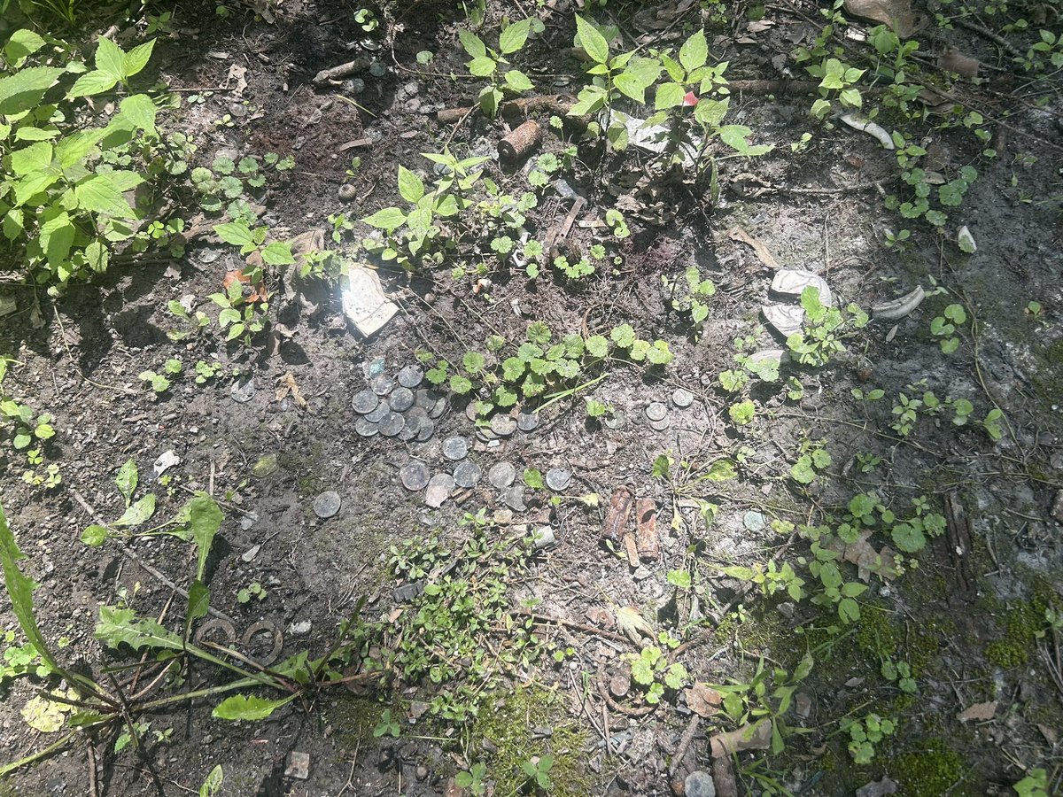 Def_School's tweet image. All the rain we’ve had has revealed an old fire pit with money being exposed WTH was going on here before me lol