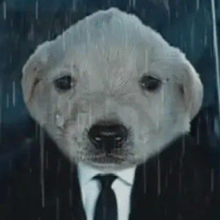 Cinnamon tweet media