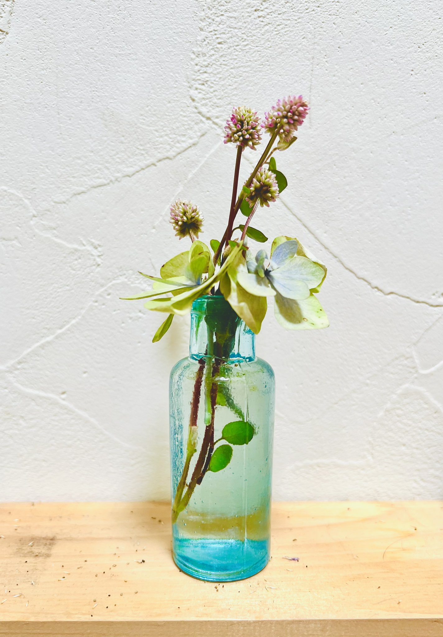 小学生が作った花瓶 楽天市場】＼コンパクトで生けやすい／【球根を育てる花瓶】球根