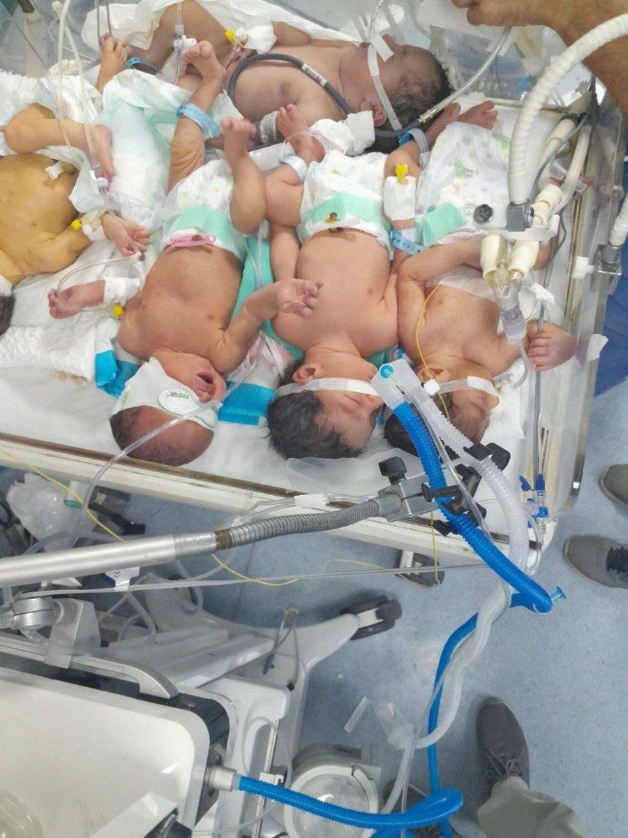palinfoen's tweet image. Urgent | UN Under-Secretary-General: Every 5 infants in Gaza Strip hospitals share one incubator, and 70% of essential medicines have run out
#GazaGenocide
#Aqsaunderattack
#europe #Gaza #Palestine