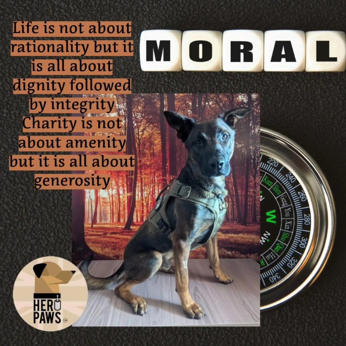 Heropawsuk's tweet image. Moral Compass
NOT ALL CHARTIES ARE AS TRANSPARENT AS LEAD TO BELIEVE 🤥
Something the military embeds into us as green soldiers, our Moral Compass
Ethics and integrity, words that are losing all meaning of late within the so-called charity world
We get approached by…