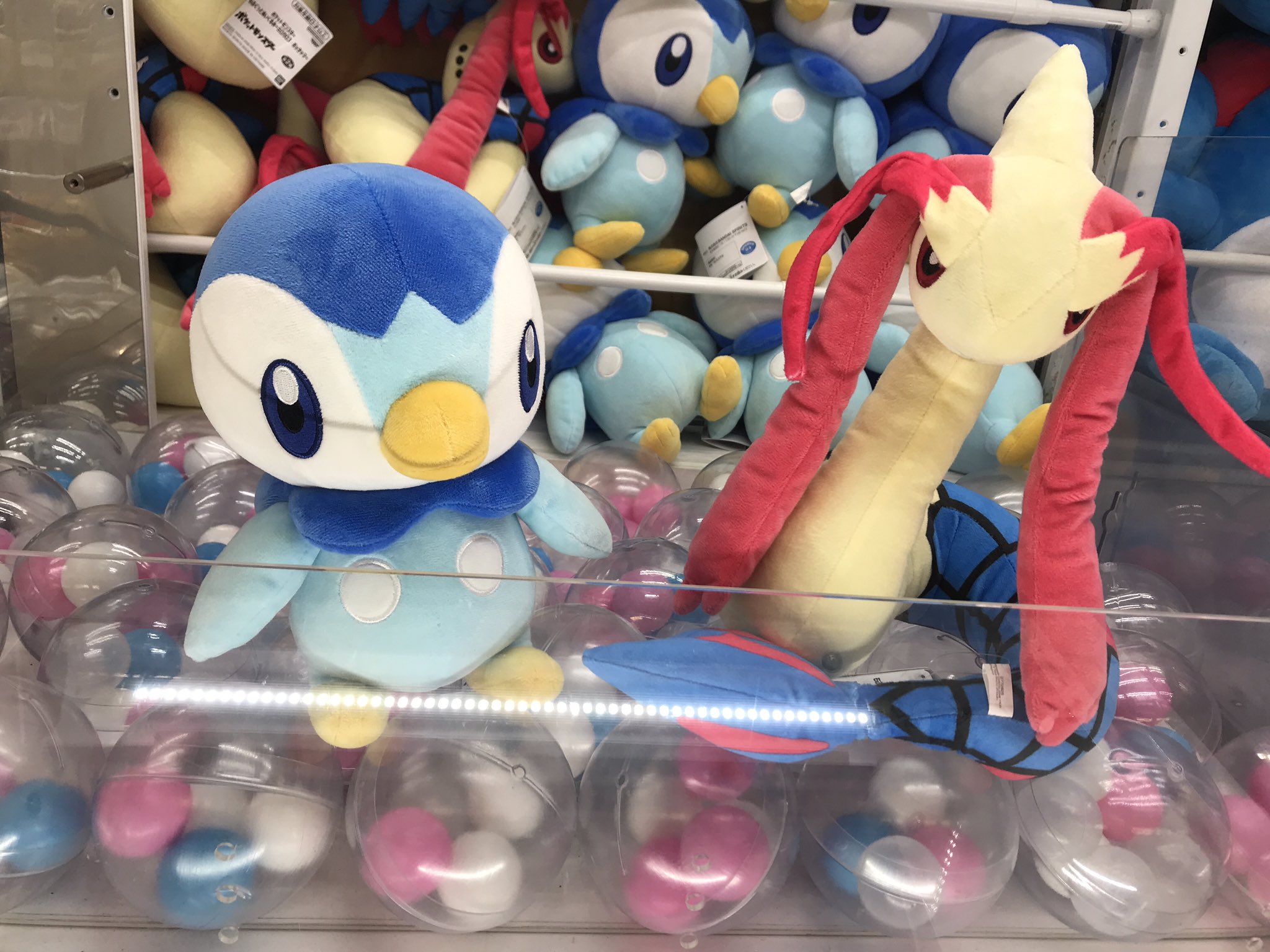 ポケモン　ロゼリア　ぬいぐるみ　アミューズメント専用景品　２００４年　コロまる編 ポケットモンスター コロっとまんまるぬいぐるみ3 ロゼリア