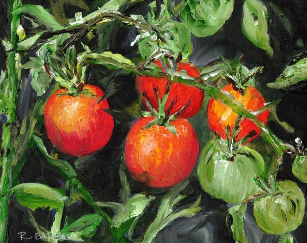 SallyAllyM's tweet image. So many tomatoes!
Come end times, I have many useful talents, but it seems ‘grower of tomatoes’ may be my side-hustle.
Good morning x