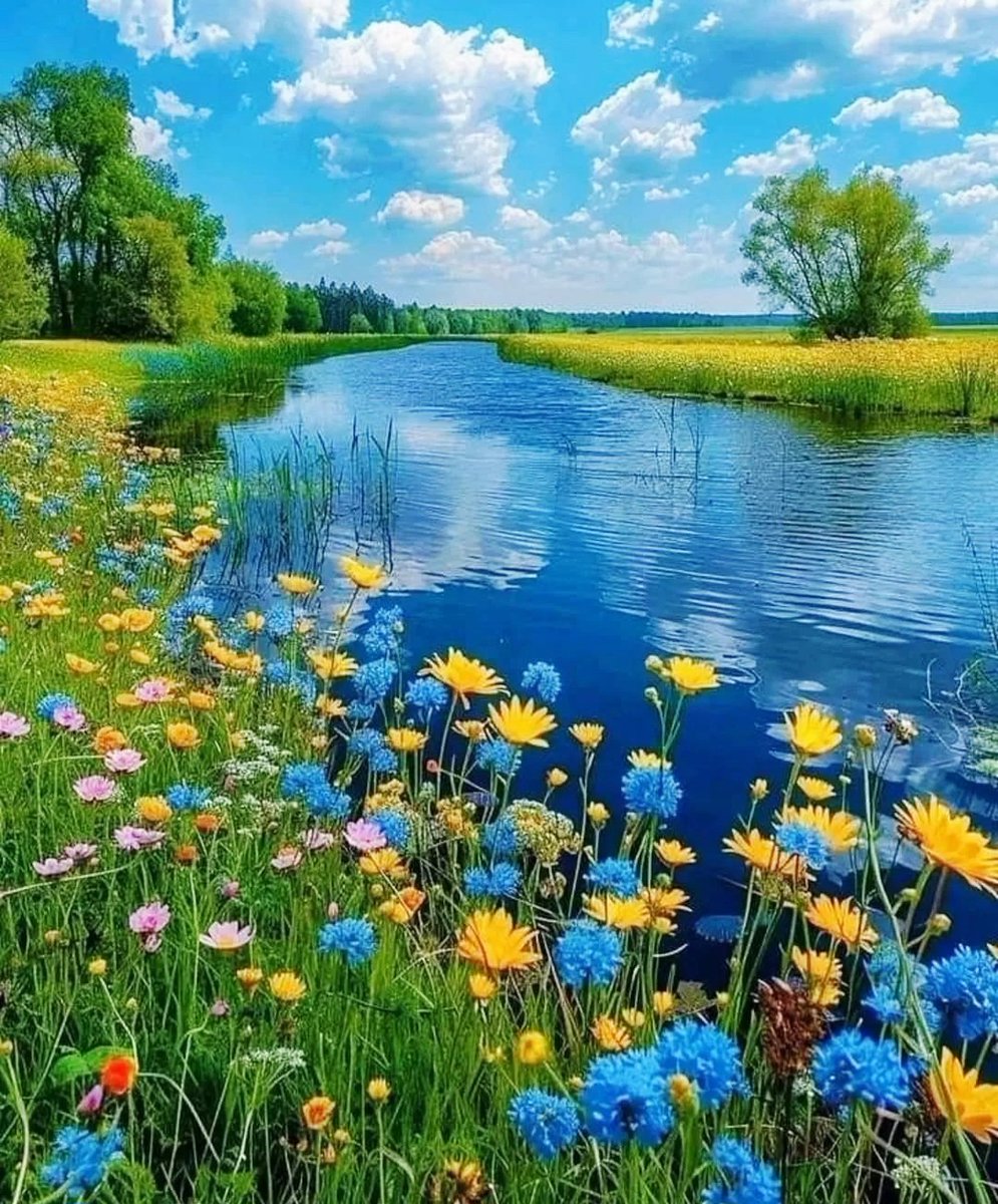 Duna4Eva's tweet image. Good Morning My Beautiful Souls!Have a blessed, peaceful, colorful day!☀️❤️