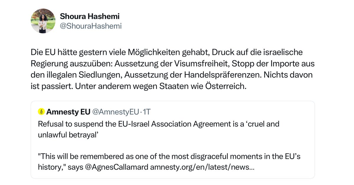 oesikrainerin's tweet photo. #Hashemi die linke #Israel Hasserin und #Hamas Unterstützerin gibt wieder mal Vollgas - #Amnesty gehört aufgelöst https://t.co/2rW5J30fKe