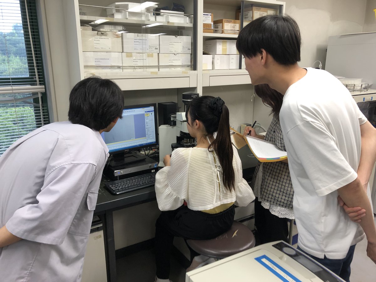NAIST_BS's tweet image. 在学生にこの大学・研究室を選んだ理由を聞いてみました👇
🥇未経験でも丁寧に教えてくれる安心感🌱
🥈相談しやすい雰囲気とフォロー体制👍
🥉研究や就活もサポートしてくれるキャリア支援◎
気になったら気軽に見学に来てみてください🙌#研究室の雰囲気 #学生の声 #大学生活 #バイオエンジニアリング