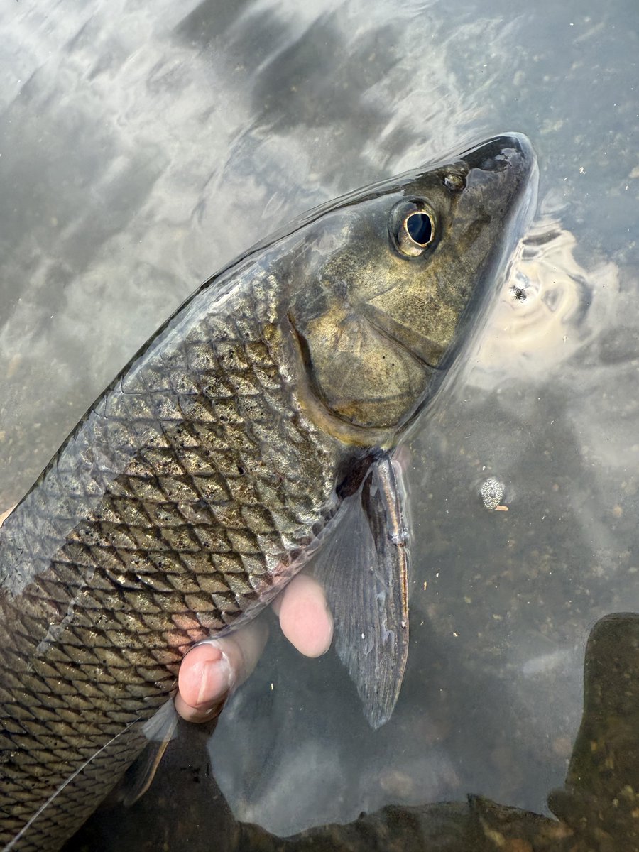 kosuke.oya(オルカ) (@mcfly0912) / Posts / X