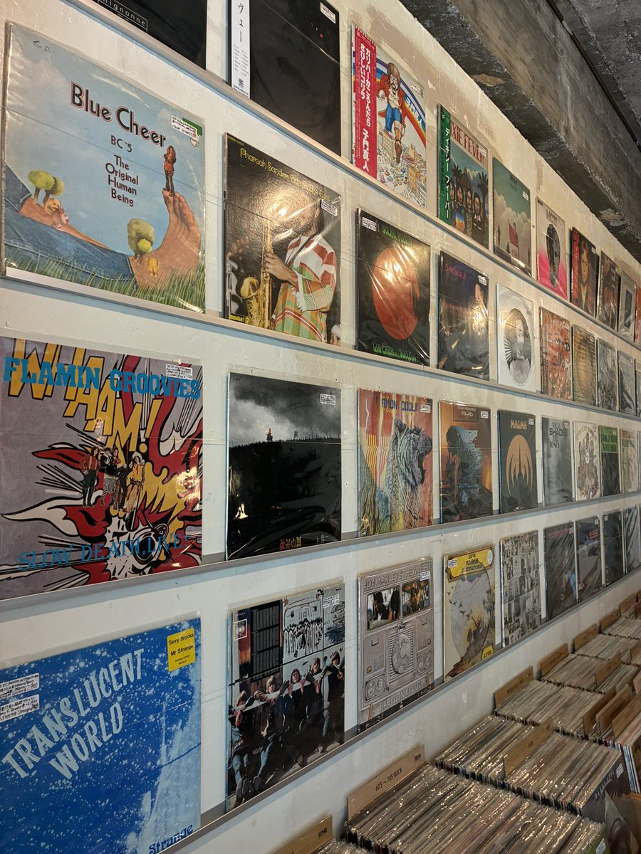 echorec_tokyo's tweet photo. 本日期日前投票に行って来ました。7/20(日)は第27回参議院議員通常選挙です。投票日当日はささやかですが投票済証掲示で10%オフのセールをやっちゃいます。皆さん野獣のように投票しましょう！

今日もやんわり20時まで。

#echorecordstokyo 
#votelikeabeast 
#frankzappa 
#hotrats 
#hunsy https://t.co/uEdcoWiJO9